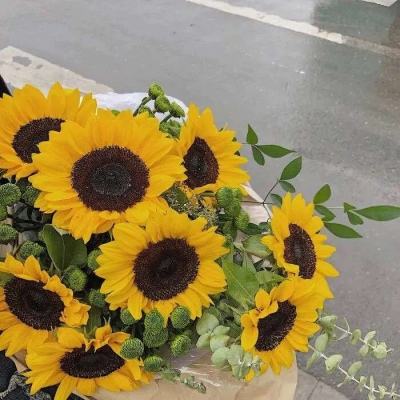 万博·ManBetX手机app下载