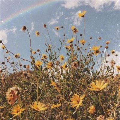 米乐app官方下载截图