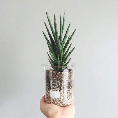 博鱼APP官方网站