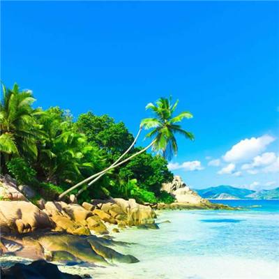 万博体育app下载官网