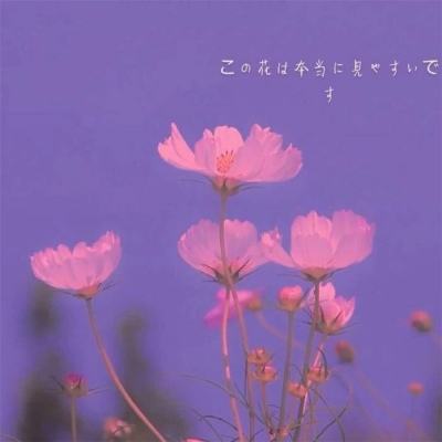 新宝体育官方登录入口