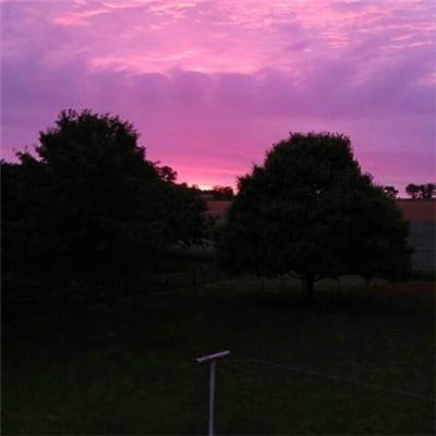 江南体育网页版