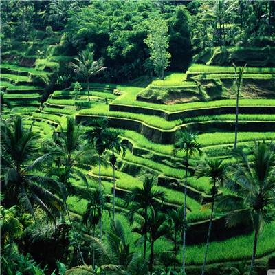 AG大厅网址下载手机版