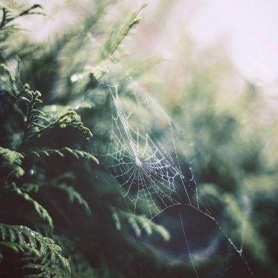 亚博AG娱乐app下载