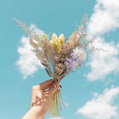 开云电竞手机app下载