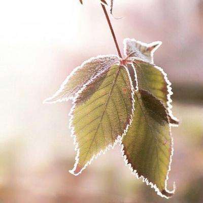 新宝体育官方登录入口